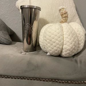 Stainless steel tumbler